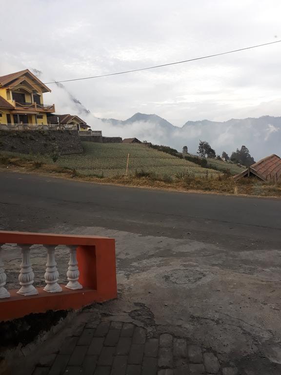Sedulur Homestay ブロモ山 エクステリア 写真