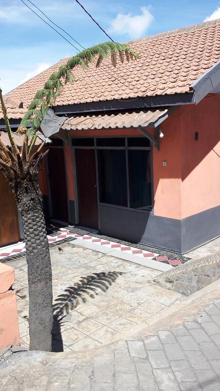 Sedulur Homestay ブロモ山 エクステリア 写真